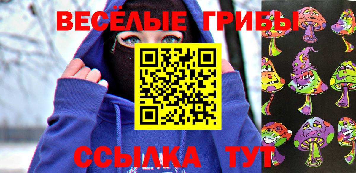 Галлюциногенные грибы GOLDEN TEACHER Туапсе